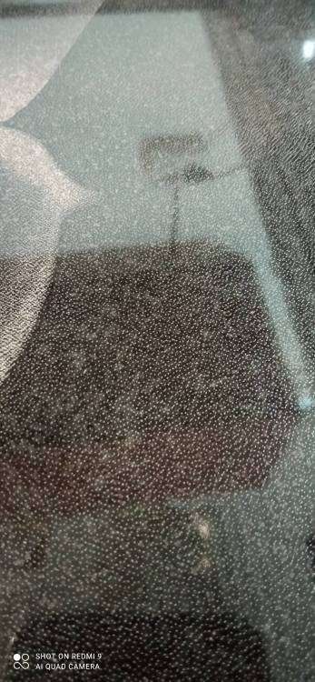 IMG_20211006_125037.thumb.jpg.43f07663dbcdfc0642441ea25f5978bb.jpg