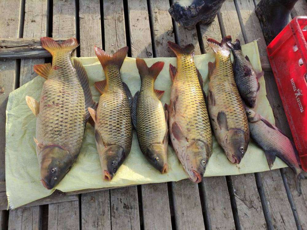 WhatsApp Image 2021-11-08 at 16.51.32.jpeg