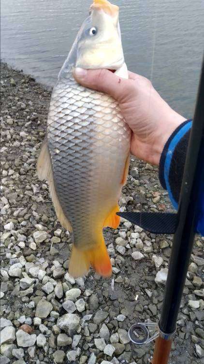 IMG_20201111_161430 - копия.jpg