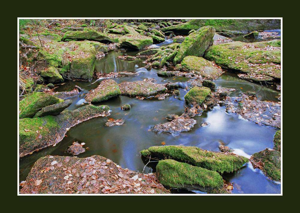 вот и осень пришла.jpg