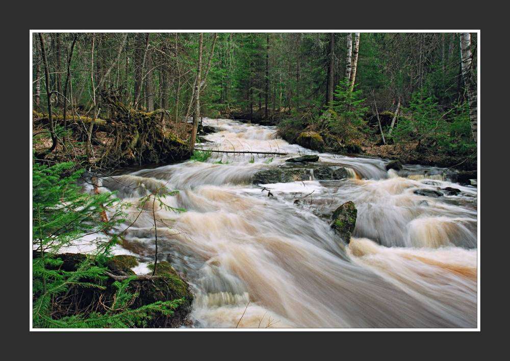 бурная река.jpg