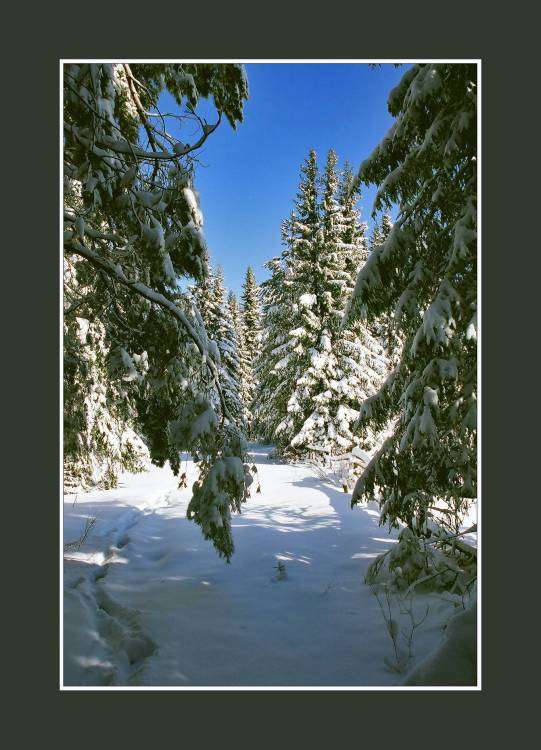 как в сказке.jpg