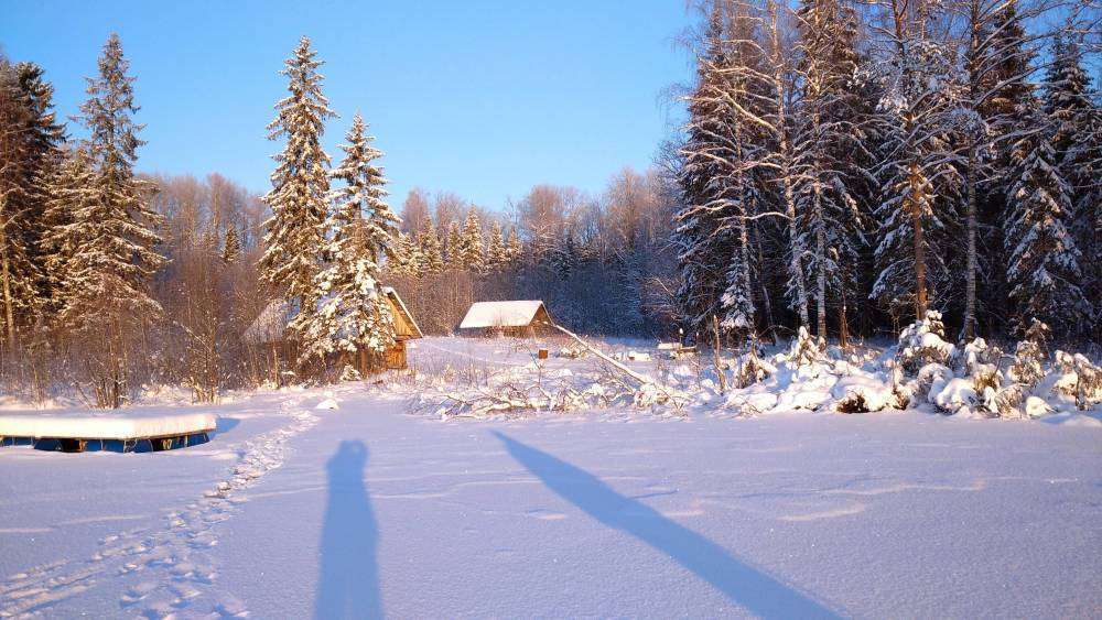 IMG_20211209_135602_1 (1).jpg