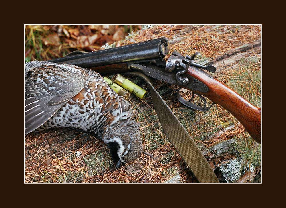 Рябчик1 копия.jpg