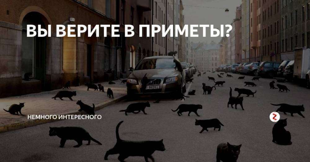 orig.jpg