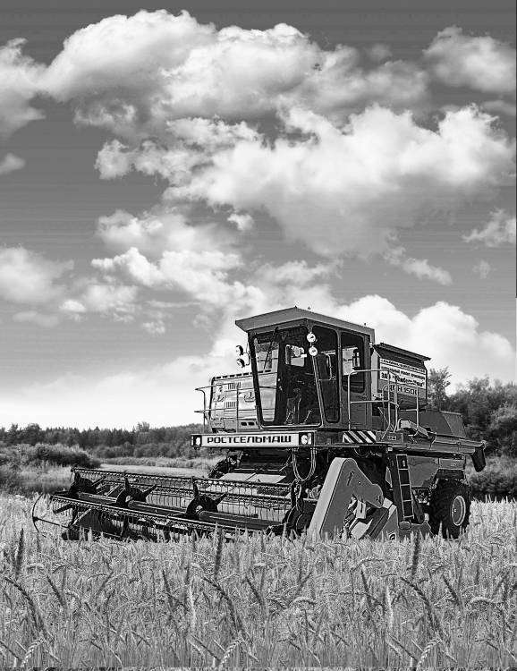 Комбайн в поле.jpg