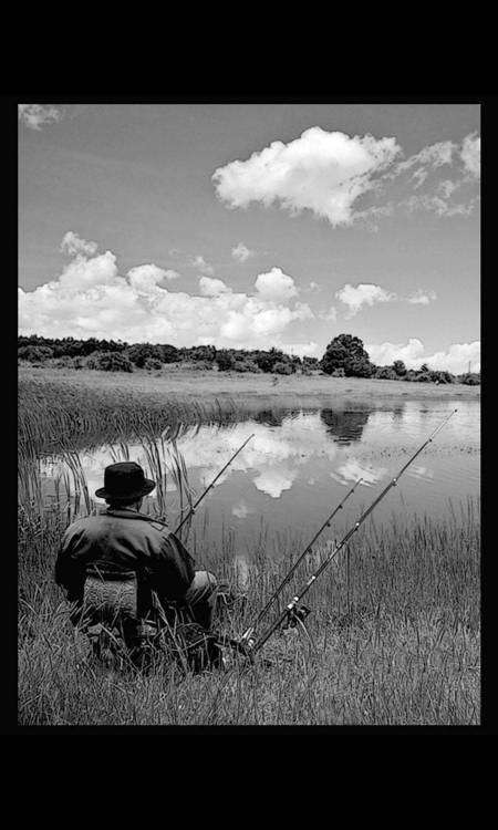 пейзаж (36).jpg