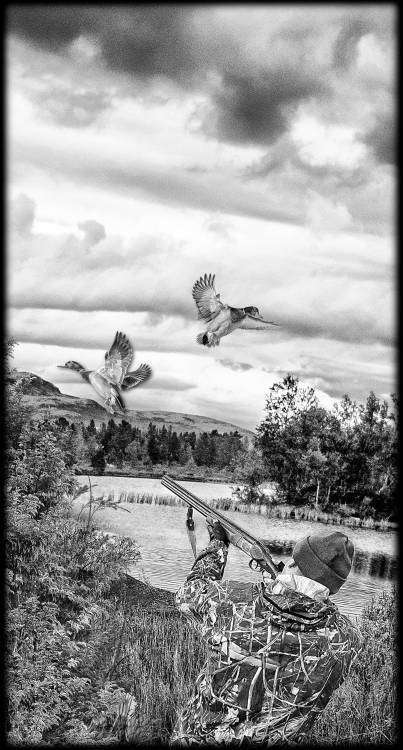 охотник утки.jpg