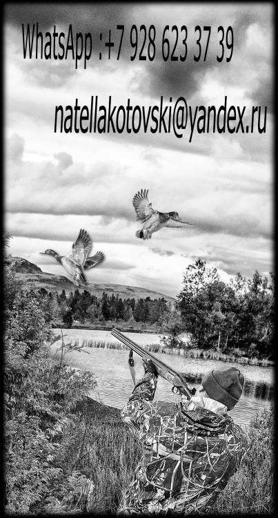 охотник утки.jpg