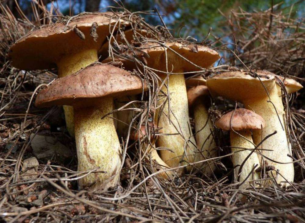 Без имени-1.jpg