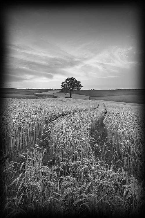 110357906_.jpg.6709e856888b0f69ecb0201c88233234 (1).jpg