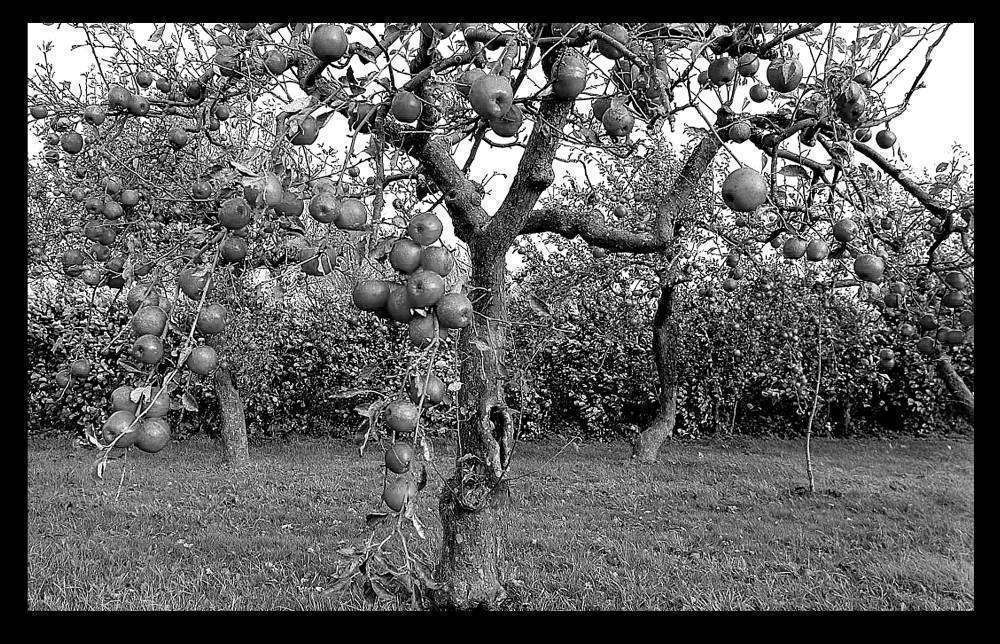 Без имени-2.jpg