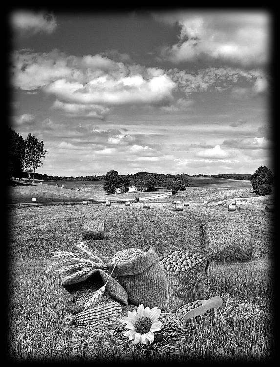 АГРОНОМУ 2.jpg