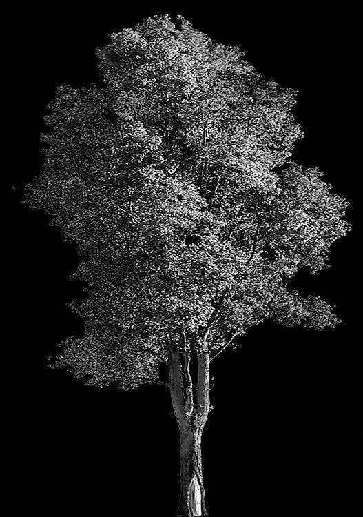 Без имени-1.jpg