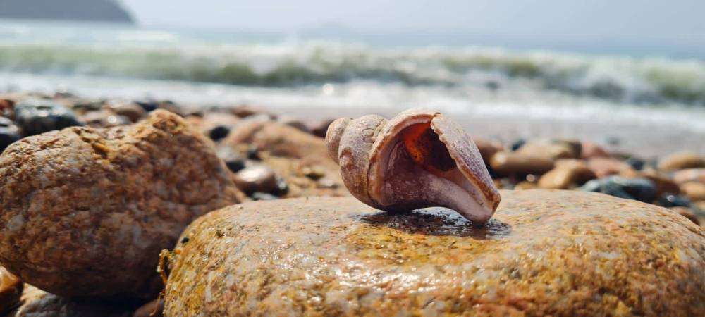 WhatsApp Image 2022-04-12 at 09.25.06.jpeg