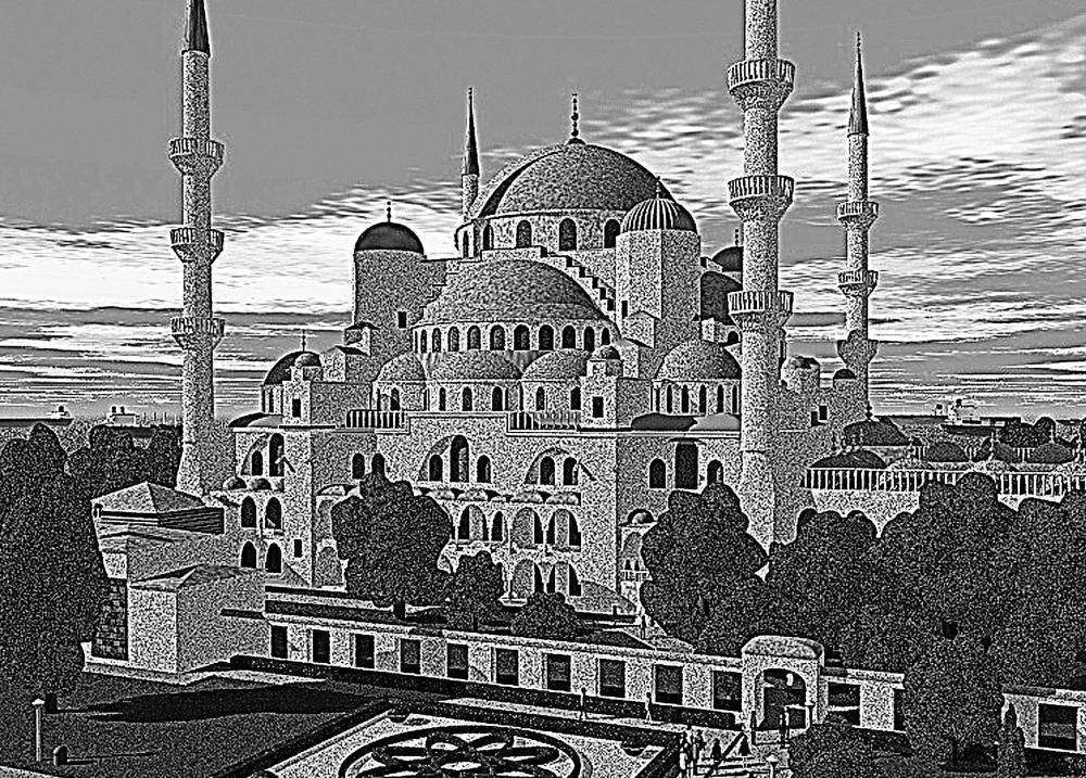 Без имени-1 (6).jpg