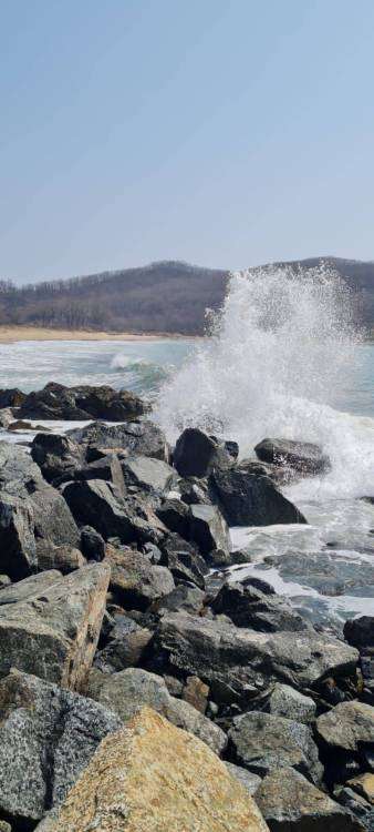 WhatsApp Image 2022-04-12 at 09.25.05.jpeg