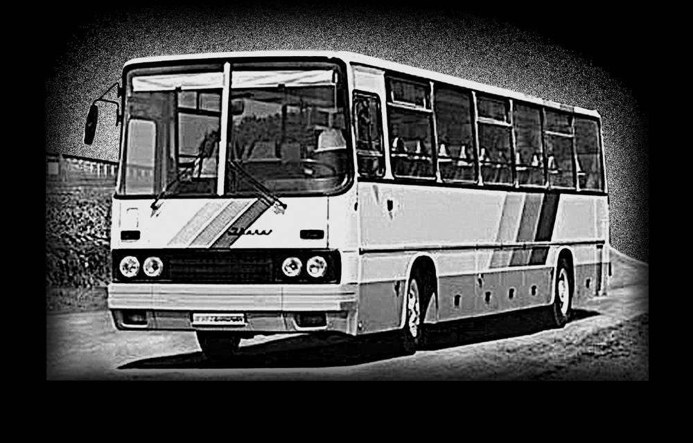 икарус для фищука.jpg