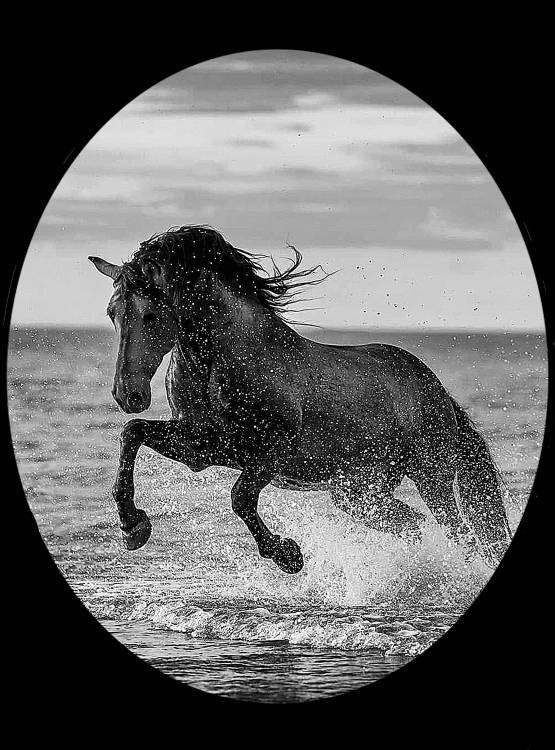 Без имени-1.jpg