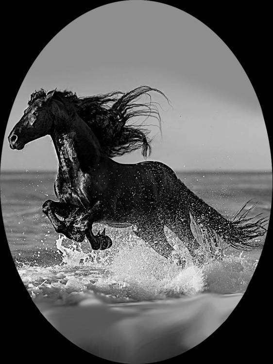 Лошадка копия.jpg