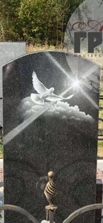 голуби пз.jpeg