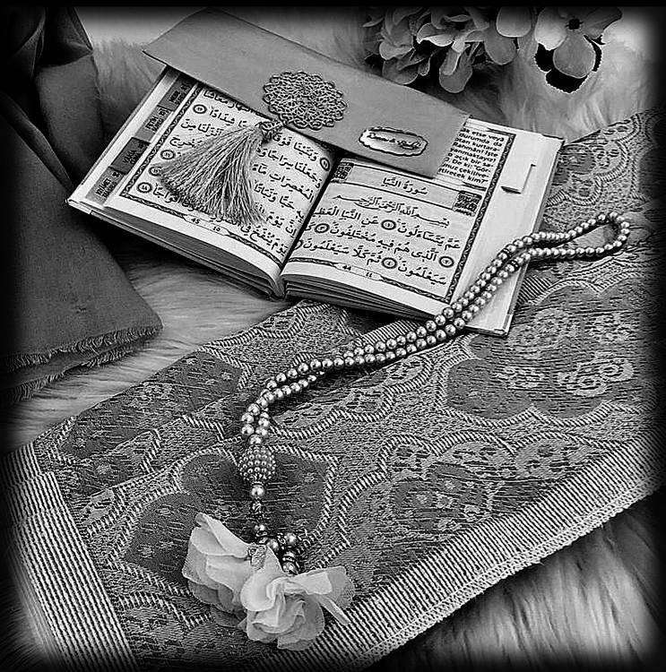 Без имени-1.jpg