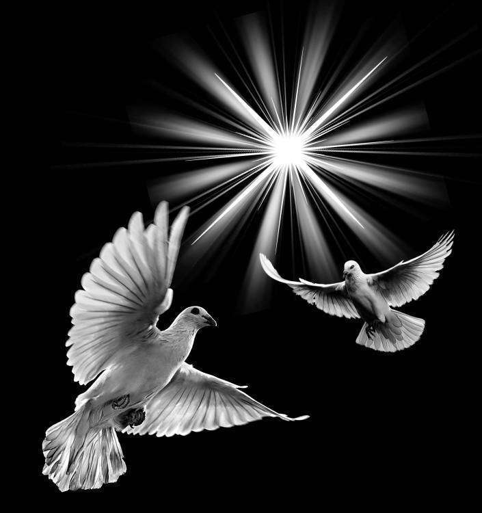 Без имени-1.jpg