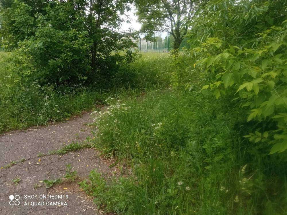 D6tzluXtvwnPAiA7SYC5Wp9c49JJTmtsOkPU4T38lt1pcfiImE3cfYUU393DJ72QnEk1Z8rbzwtHtXioILPOMzgo (1).jpg