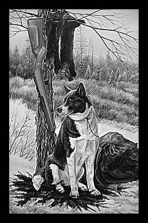 Собачка ждет охотника.jpg