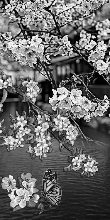 1604 Караваева копия 2.jpg