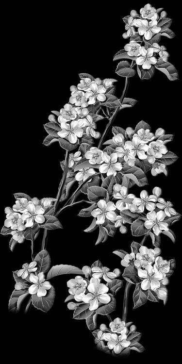 1604 Караваева копия 2.jpg