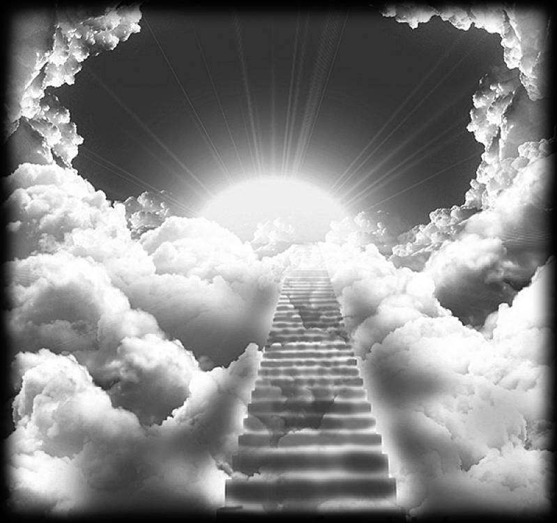 олока лесница.jpg