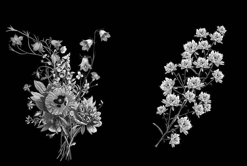 Без имени-3.jpg