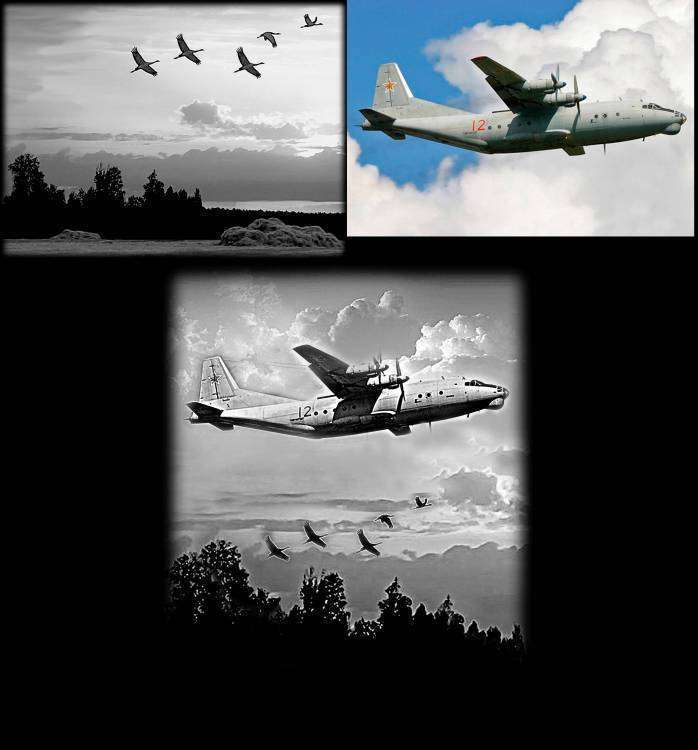 Без имени-1.jpg