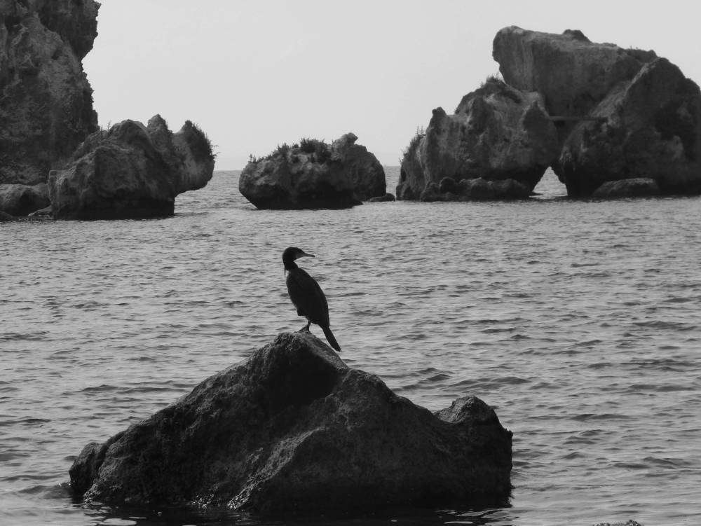 Без имени-1.jpg