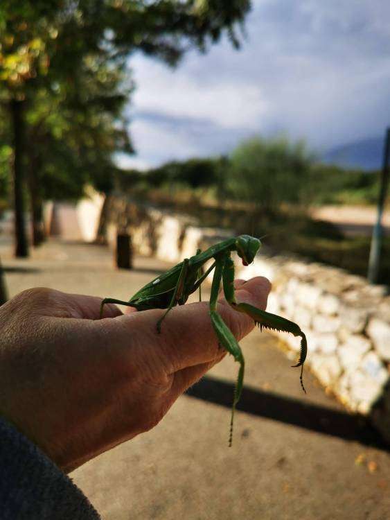 IMG_20211127_141831 (1).jpg