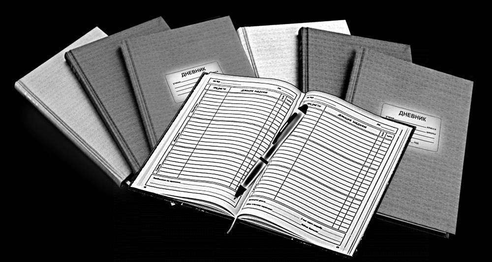 ДНЕВНИКИ.jpg
