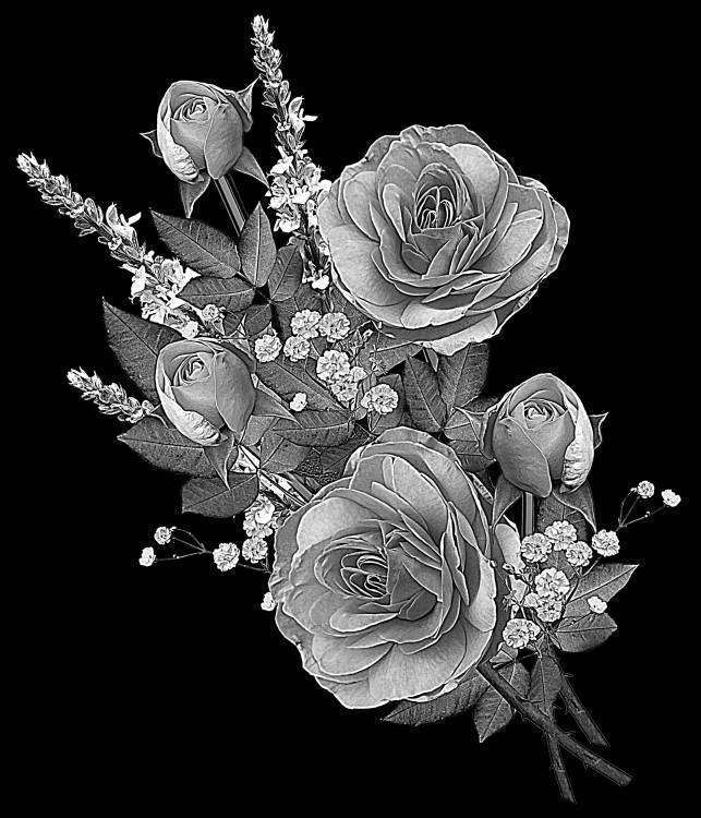 букет роз.jpg