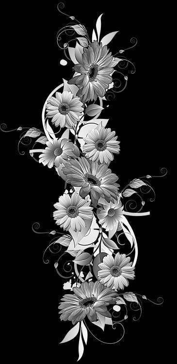 ромашки вертик..jpg