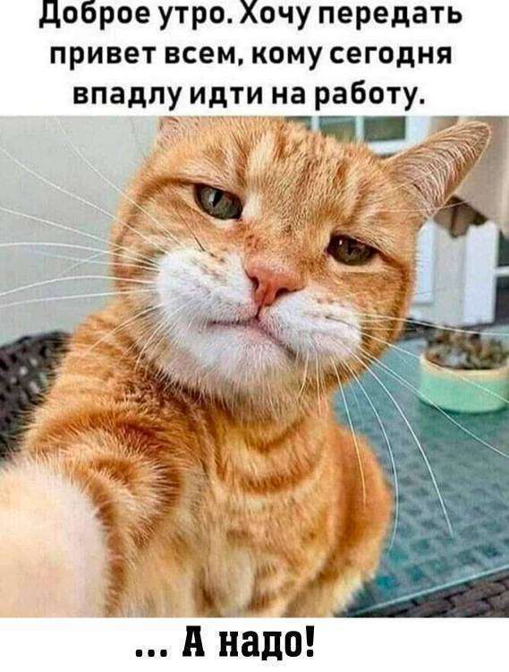 Без имени-3.jpg