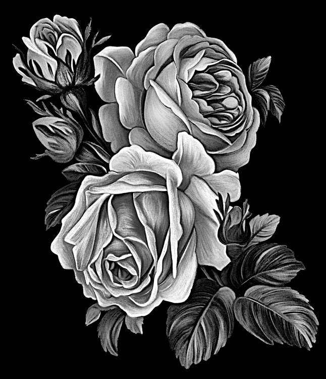 Без имени-3.jpg