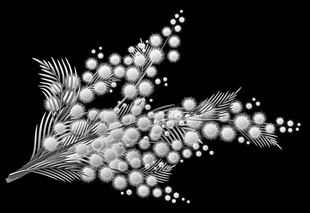 веточка мимозы.jpg