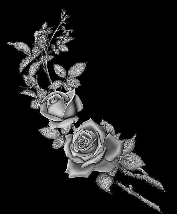 РОЗЫ.jpg