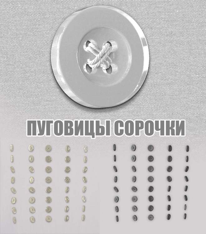 курку.jpg