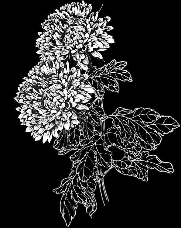 Без имени-1.jpg