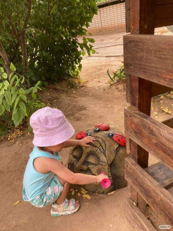 Без названия.jpg