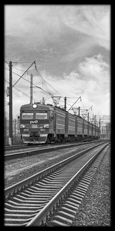 Телепняк БВ_Гр Обр сторона.jpg