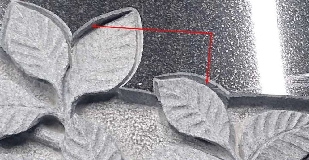 листья владимир.jpg