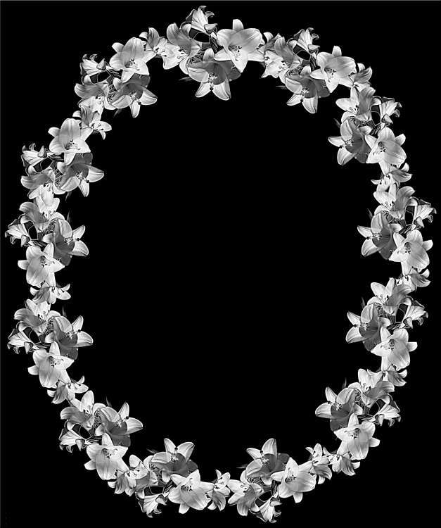 Без имени-5.jpg