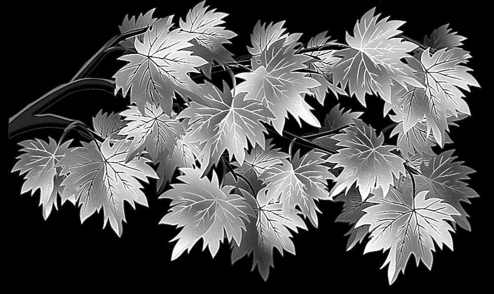 веточка клён.jpg